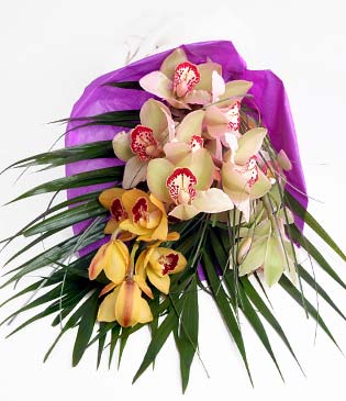  Ankara iek siparii ankaya iek sat  1 adet dal orkide buket halinde sunulmakta