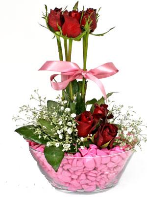  Ankara Çankaya uluslararası çiçek gönderme  SEVIYORUM DIYENLER 7 kirmizi gül tanzim 