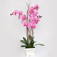  Ankara iek siparii ankaya iek sat  2 adet orkide - 2 dal orkide