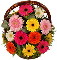 Sepet içerisinde sicak sevgi çiçekleri  Ankara Çankaya güvenli kaliteli hızlı çiçek 