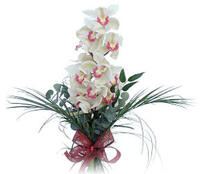  Ankara ankaya online ieki , iek siparii  Dal orkide ithal iyi kalite