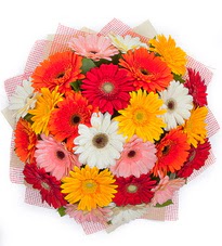 15 adet renkli gerbera buketi  Ankara Çankaya online çiçek gönderme sipariş 