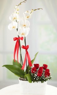 2 dall beyaz orkide ve 7 krmz gl  Ankara ankaya gvenli kaliteli hzl iek 