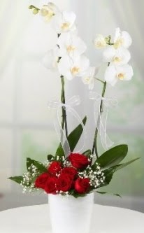 2 dall beyaz orkide 7 adet krmz gl  Ankara iek gnderme ankaya ucuz iek gnder 