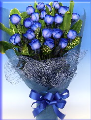 19 adet eşsiz mavi gül buketi  Ankara Çankaya çiçek , çiçekçi , çiçekçilik 