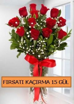  15 İthal kırmızı gül büyük başlı orjinal  Ankara Çankaya online çiçekçi , çiçek siparişi 