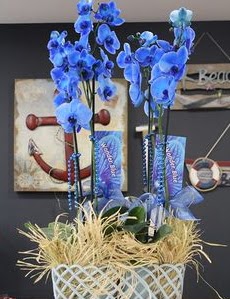 4 dall zel mavi orkide  Ankara ankaya iek yolla 
