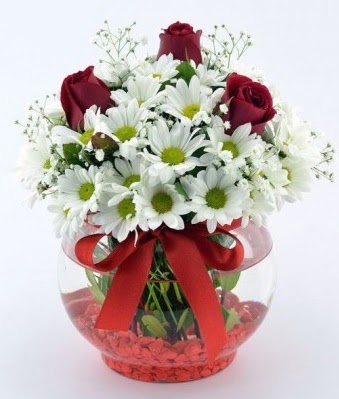 Fanusta 3 Gül ve Papatya  Çankaya çiçek yolla , çiçek gönder , çiçekçi   