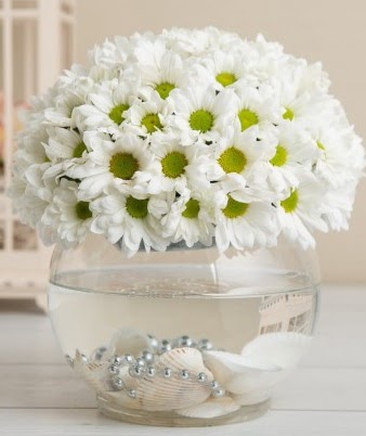 Fanusta beyaz Papatya  Çankaya çiçek servisi , çiçekçi adresleri  