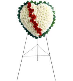  Ankara Çankaya çiçek gönderme sitemiz güvenlidir  kalbimin tek sahibisin benim