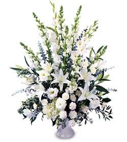  Ankara Çankaya çiçek gönderme  saf temiz sevginin gücü çiçek modeli