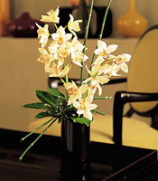  Ankara ankaya nternetten iek siparii  cam yada mika vazo ierisinde dal orkide