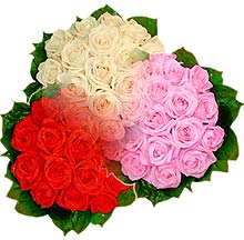 3 renkte gül seven sever   Ankara Çankaya çiçek mağazası , çiçekçi adresleri 
