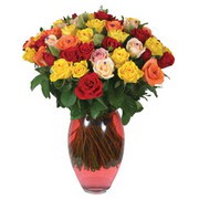 51 adet gül ve kaliteli vazo   Çankaya çiçekçiler 14 şubat sevgililer günü çiçek 