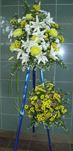 çift katli perförje çiçegi  Çankaya yurtiçi ve yurtdışı çiçek siparişi 