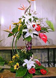  Çankaya yurtiçi ve yurtdışı çiçek siparişi  iki katli görsel ve kaliteli perförje