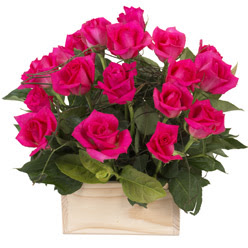 12 adet pembe güllerden sepet tanzimi  Ankara Çankaya online çiçek gönderme sipariş 