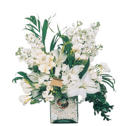  Ankara Çankaya çiçek gönderme sitemiz güvenlidir  sadece beyazlardan olusmus mevsim cam yada mika tanzim