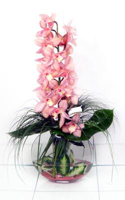  Ankara Çankaya çiçek gönderme sitemiz güvenlidir  cam içerisinde tek dal orkide
