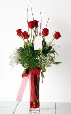  Ankara çiçek siparişi Çankaya çiçek satışı  6 adet kirmizi gül ve cam yada mika vazo