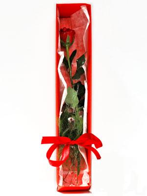  Ankara Çankaya online çiçek gönderme sipariş  1 adet kutuda gül