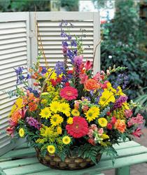  Çankaya çiçek yolla çiçekçi mağazası  karisik mevsim sepet çiçegi
