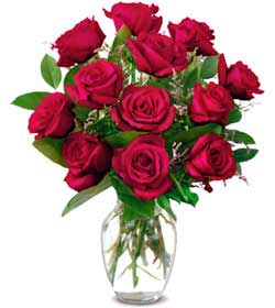 Ankara Çankaya çiçek gönderme  1 düzine kirmizi gül sevenlere özel vazo gülleri