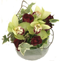  Ankara Çankaya internetten çiçek siparişi  1 kandil orkide ve 5 adet kirmizi gül