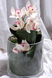  Ankara Çankaya çiçek gönderme sitemiz güvenlidir  Cam yada mika vazo içerisinde tek dal orkide