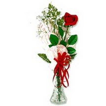  Çankaya yurtiçi ve yurtdışı çiçek siparişi  1 adet kirmizi gül cam yada mika vazoda