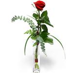  Ankara Çankaya çiçek online çiçek siparişi  1 adet kirmizi gül cam yada mika vazo içerisinde