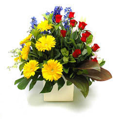  Ankara Çankaya çiçek gönderme  9 adet gül ve kir çiçekleri cam yada mika vazoda