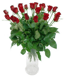  Ankara Çankaya çiçek online çiçek siparişi  11 adet kimizi gülün ihtisami cam yada mika vazo modeli