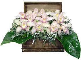  Çankaya kaliteli taze ve ucuz çiçekler  sandik içerisinde 1 dal orkide