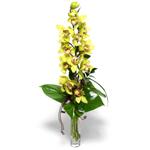 Ankara Çankaya uluslararası çiçek gönderme  cam vazo içerisinde tek dal canli orkide