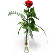  Ankara çiçek gönderme Çankaya ucuz çiçek gönder  Sana deger veriyorum bir adet gül cam yada mika vazoda