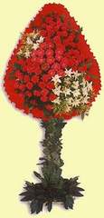  Çankaya hediye sevgilime hediye çiçek  dügün açilis çiçekleri  Ankara Çankaya çiçek siparişi sitesi 