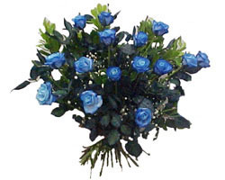  Ankara Çankaya uluslararası çiçek gönderme  9 mavi gül güzel bir buket