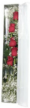  Ankara Çankaya online çiçekçi , çiçek siparişi   5 adet gülden kutu güller