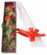 kutu içinde 5 adet kirmizi gül  Ankara Çankaya çiçek gönderme sitemiz güvenlidir 
