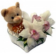  Ankara Çankaya anneler günü çiçek yolla  15 cm boyutlarinda ayicik ve 1 kandil orkide