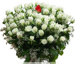  Çankaya çiçek yolla , çiçek gönder , çiçekçi   100 adet beyaz 1 adet kirmizi gül buketi