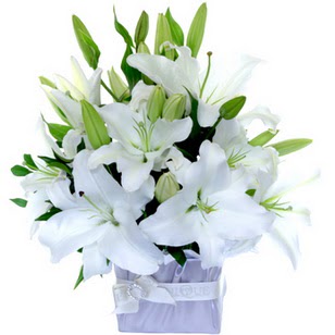  Ankara Çankaya anneler günü çiçek yolla  2 dal cazablanca vazo çiçeği
