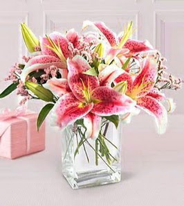 2 dal kazablanka görsel vazosu  Ankara Çankaya online çiçekçi , çiçek siparişi 