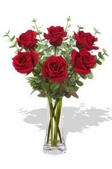  Çankaya yurtiçi ve yurtdışı çiçek siparişi  6 kırmızı gül vazosu