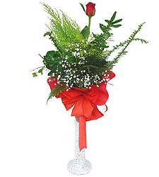  Ankara Çankaya hediye çiçek yolla  Cam vazoda masum tek gül