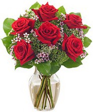 Kız arkadaşıma hediye 6 kırmızı gül  Ankara Çankaya çiçek gönderme sitemiz güvenlidir 