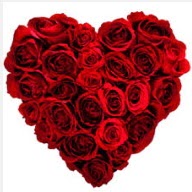  Ankara Çankaya çiçek , çiçekçi , çiçekçilik  19 adet kırmızı gülden kalp tanzimi