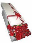  Ankara Çankaya çiçek online çiçek siparişi  11 adet 1.kalite magnum güller