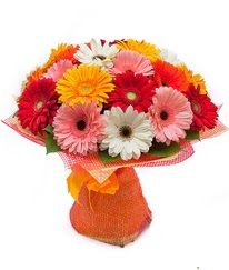 Renkli gerbera buketi  Ankara Çankaya hediye çiçek yolla 